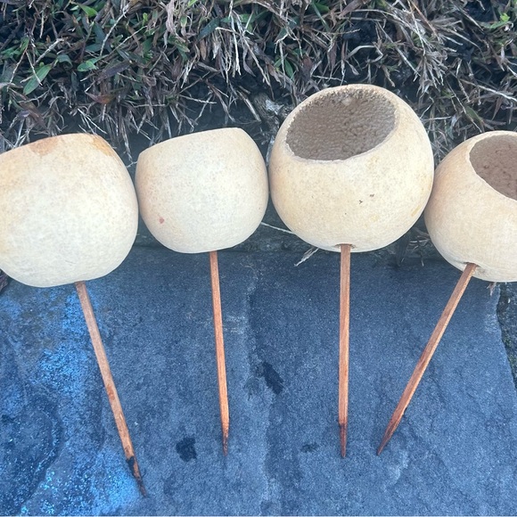 Multi piece gourd lotus natural decor  set - Picture 7 of 13